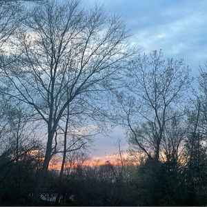 Meet your Posher, Nocera